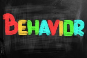 Read more about the article What is Behavior?